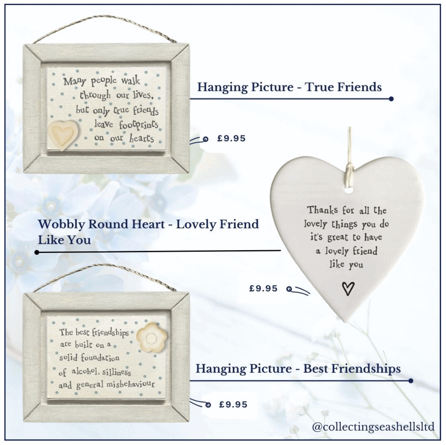 collecting seashells home decor products