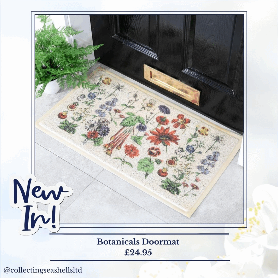 Garden Delights 🪴