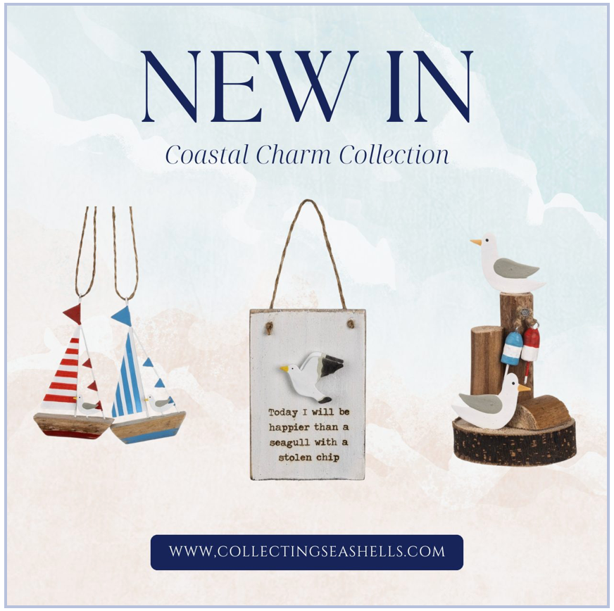 Seaside Style Awaits 🐚