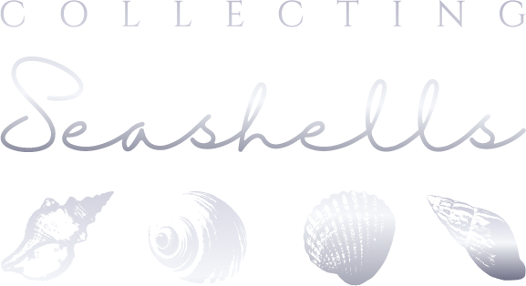 Collecting Seashells