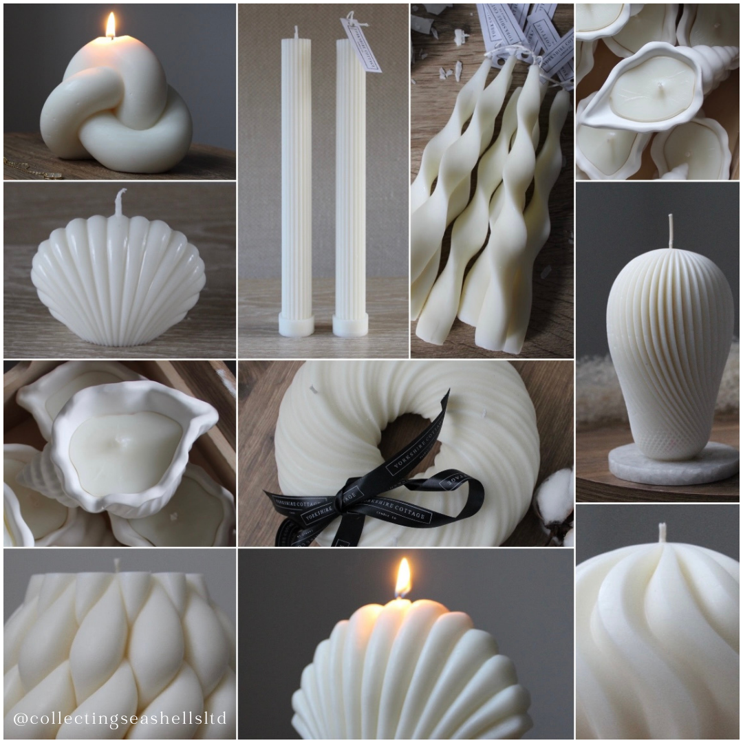 Collecting Seashells Collaboration with Sculpted Candles