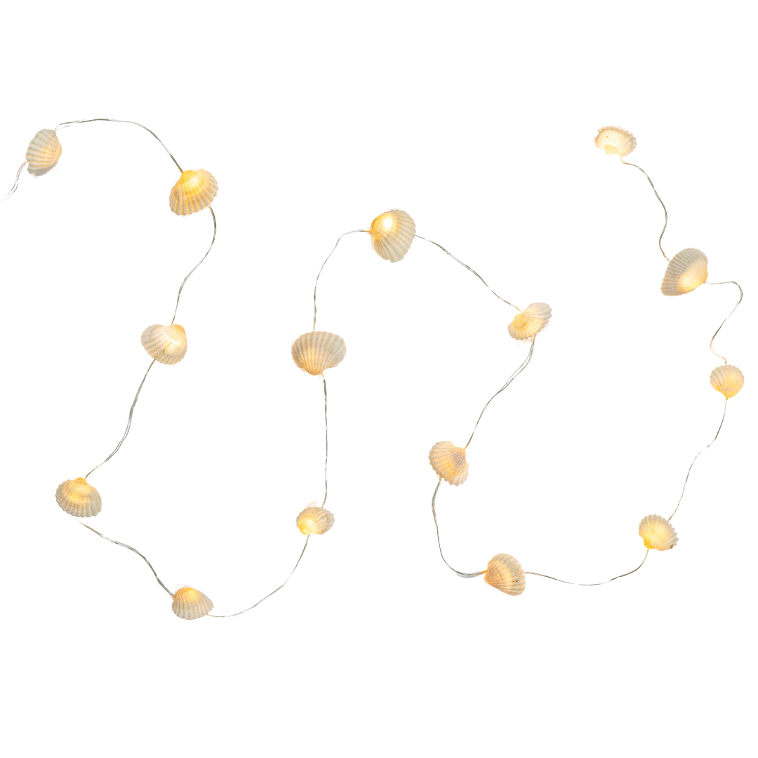Seashell Fairy Lights