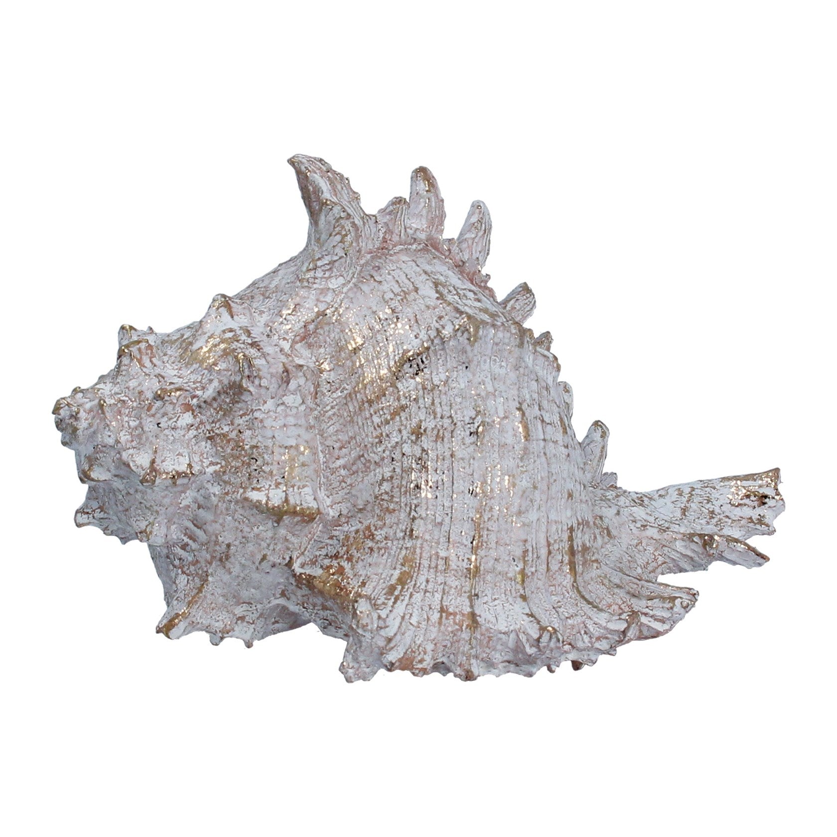 White & Gold Shell Ornament