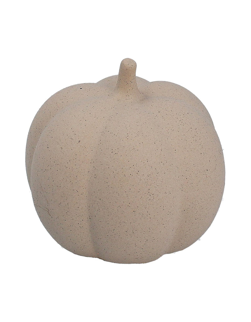 Collecting Seashells Beautiful Home Decor Shop the Autumn Collection