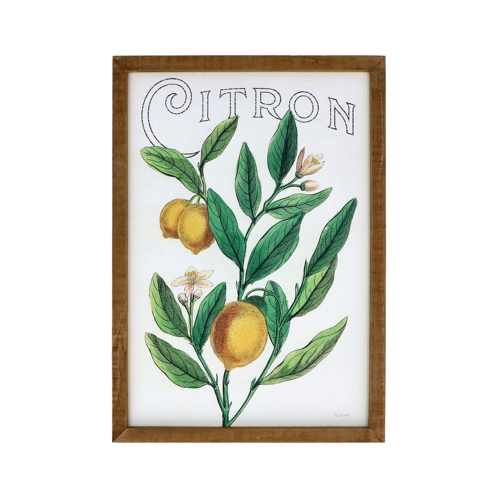 Citron Wall Art - Lemon Tree
