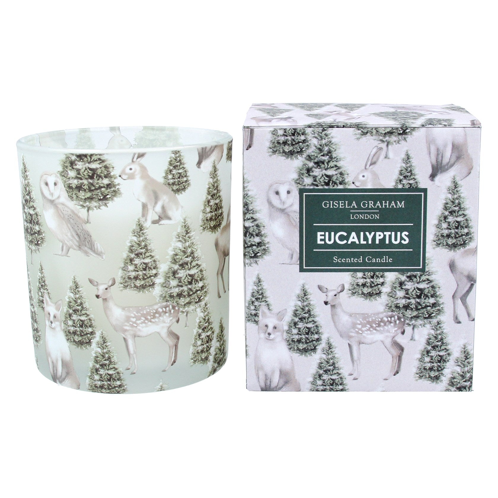 Boxed Scented Candle - Winter Eucalyptus