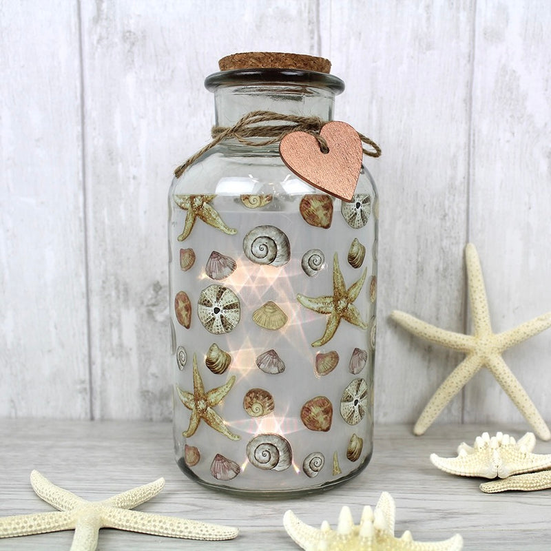 Spring Collection Collecting Seashells