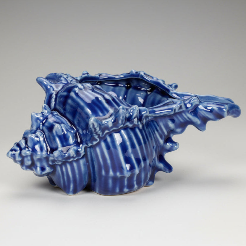 Ceramic Conch Shell Pot – Collecting Seashells
