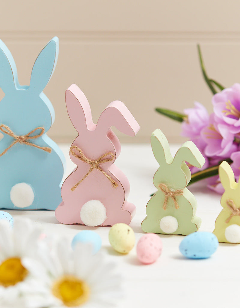 Spring Collection Collecting Seashells