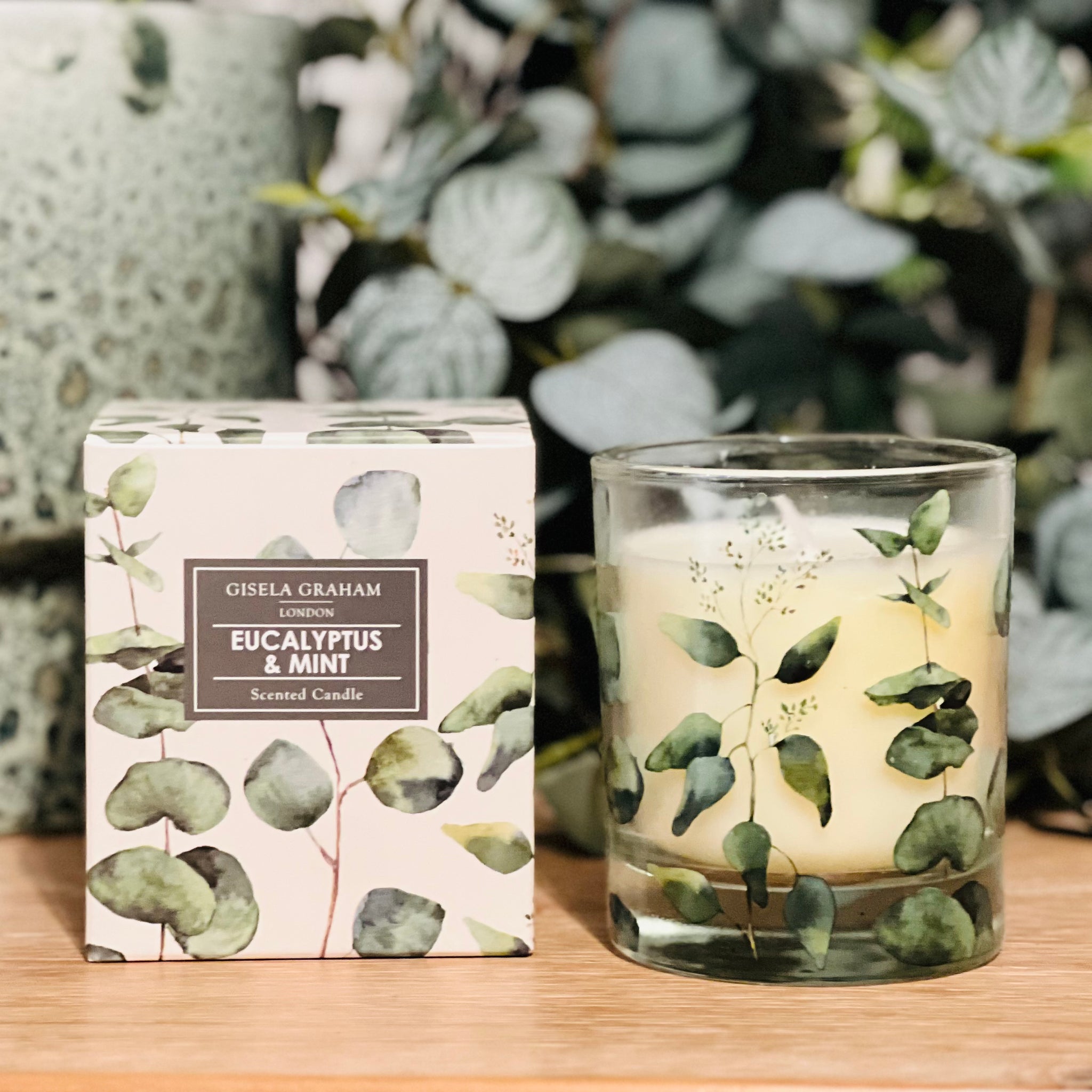 Boxed Scented Candle - Eucalyptus