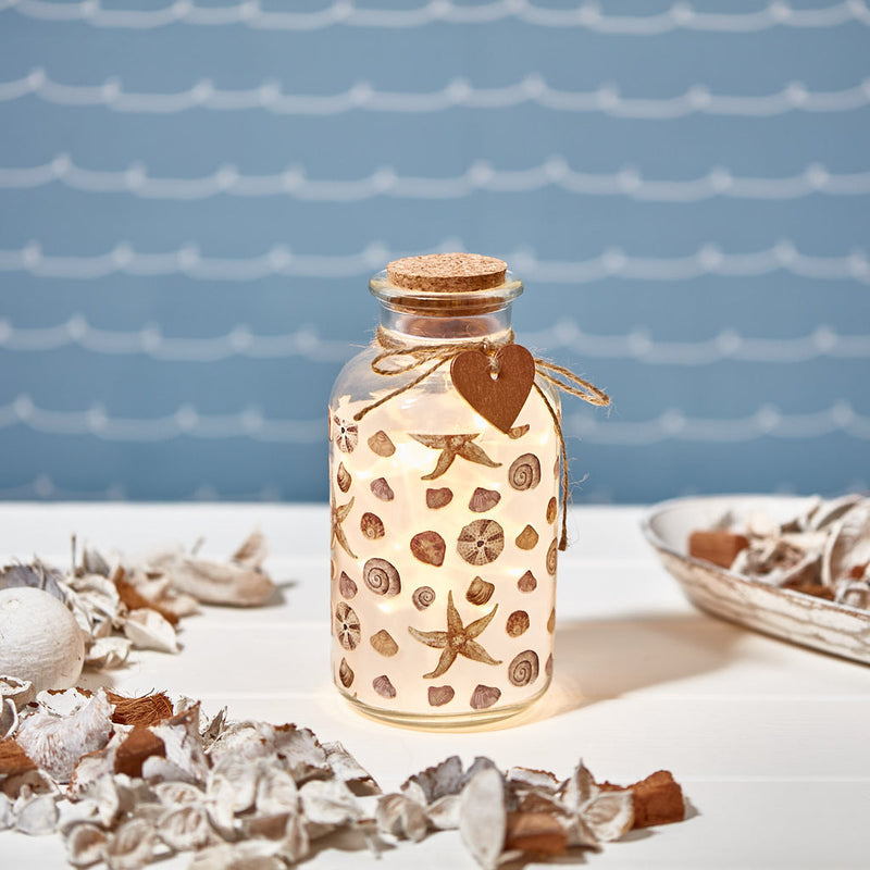 Spring Collection Collecting Seashells