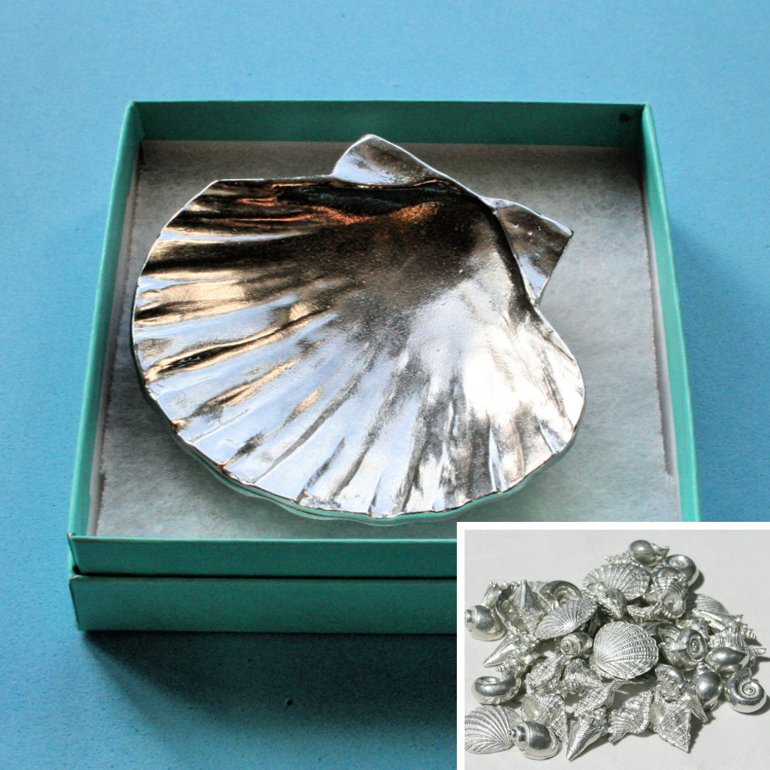Trinket Dish - Scallop & Seashells