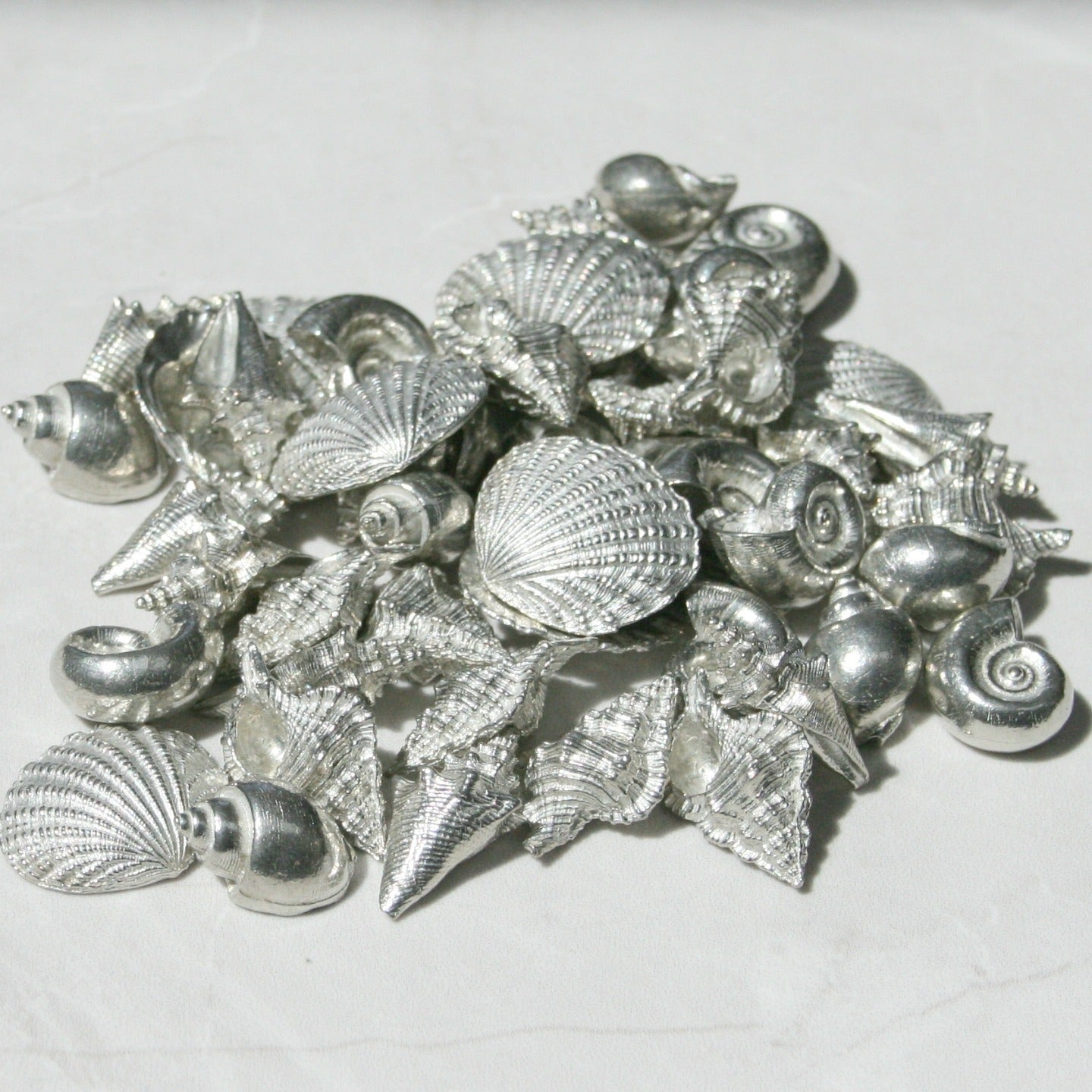 Trinket Dish - Scallop & Seashells