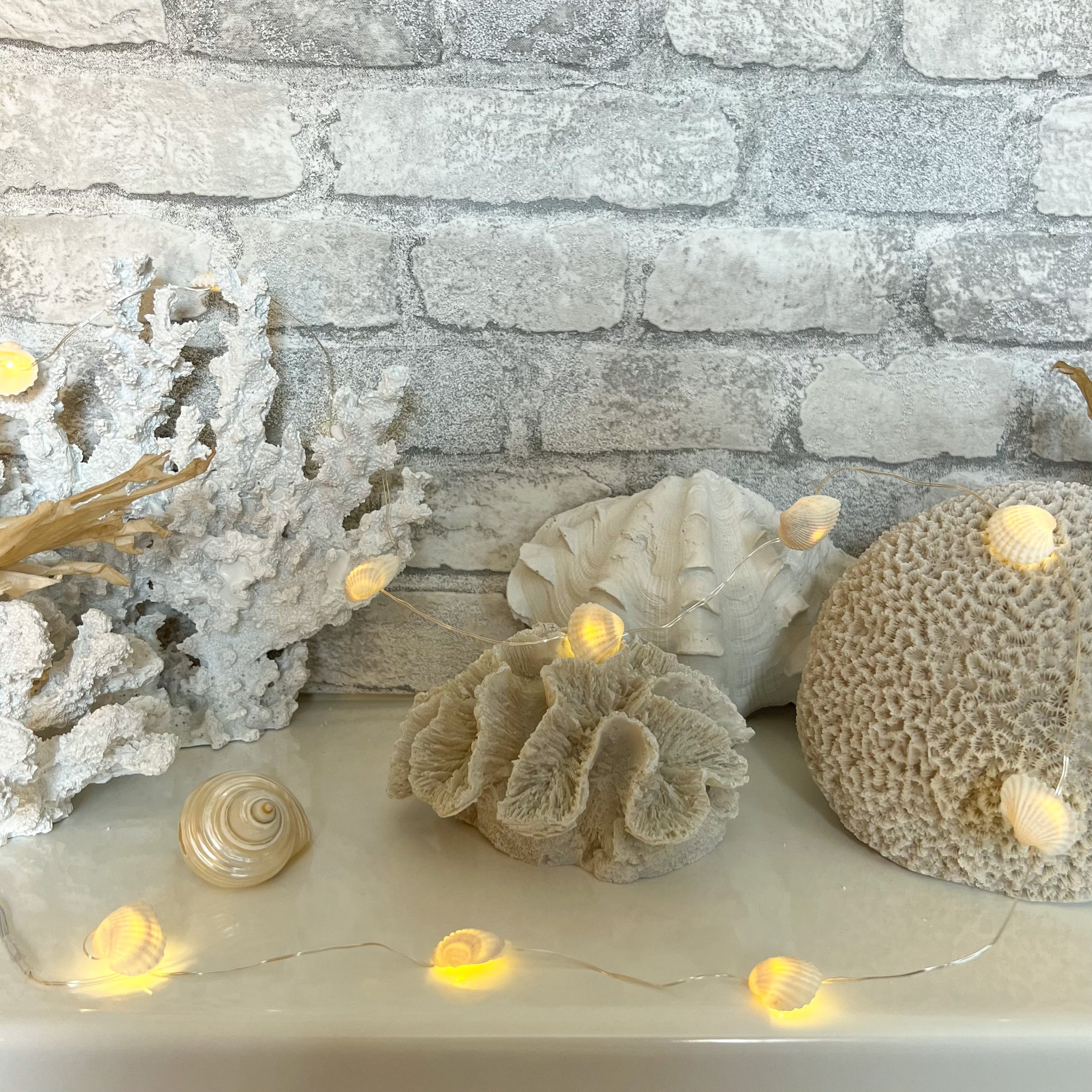 Seashell Fairy Lights