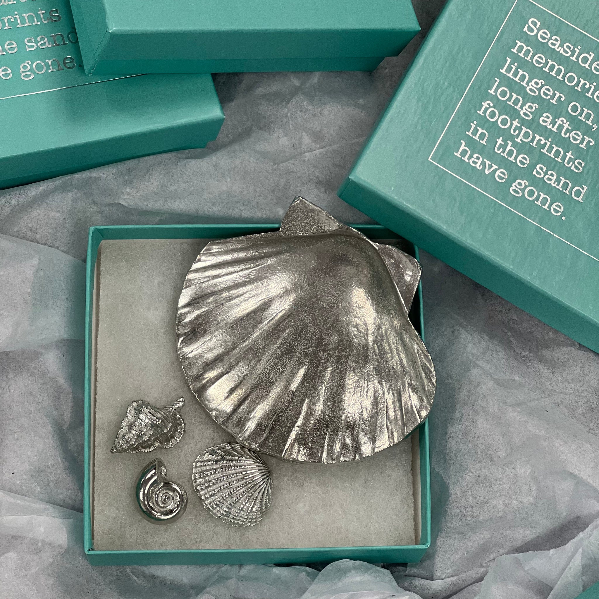 Trinket Dish - Scallop & Seashells