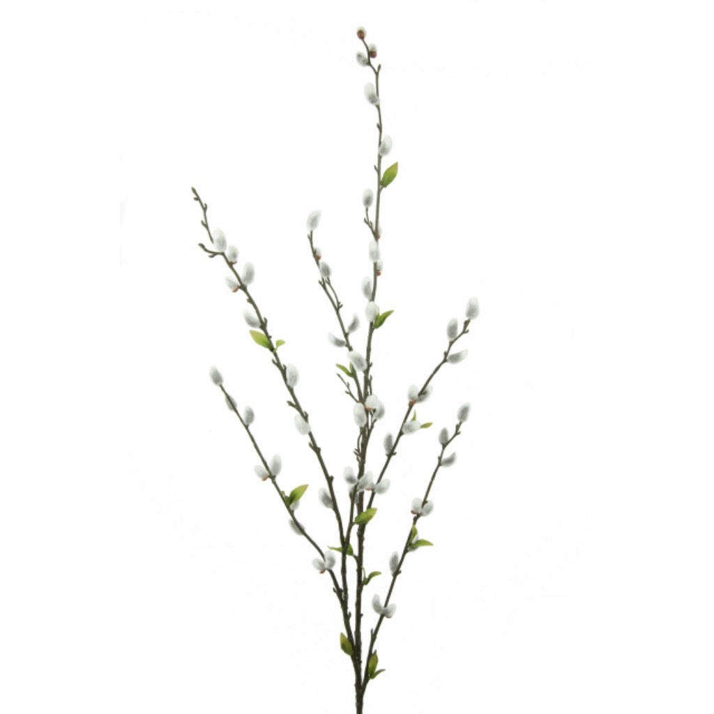 Tall Pussy Willow Sprig