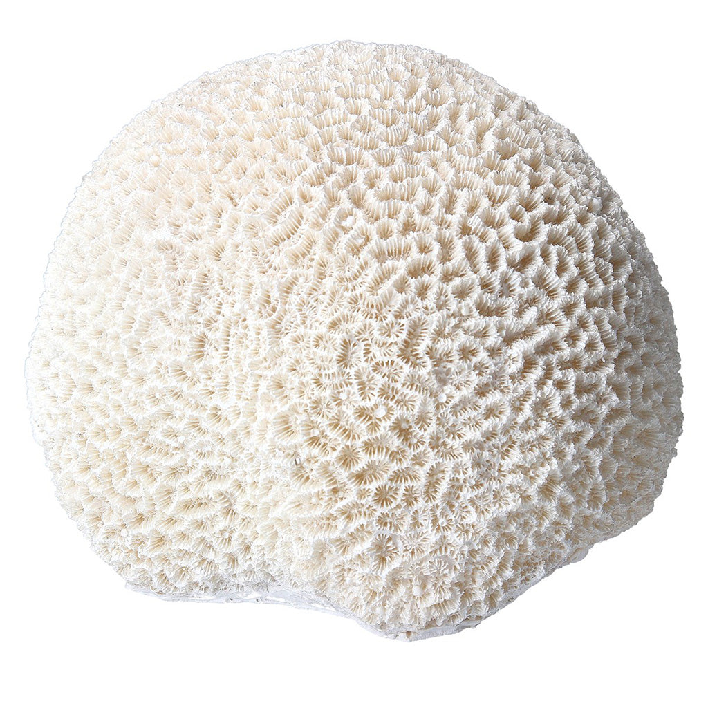 Faux Coral Ball Resin Ornament