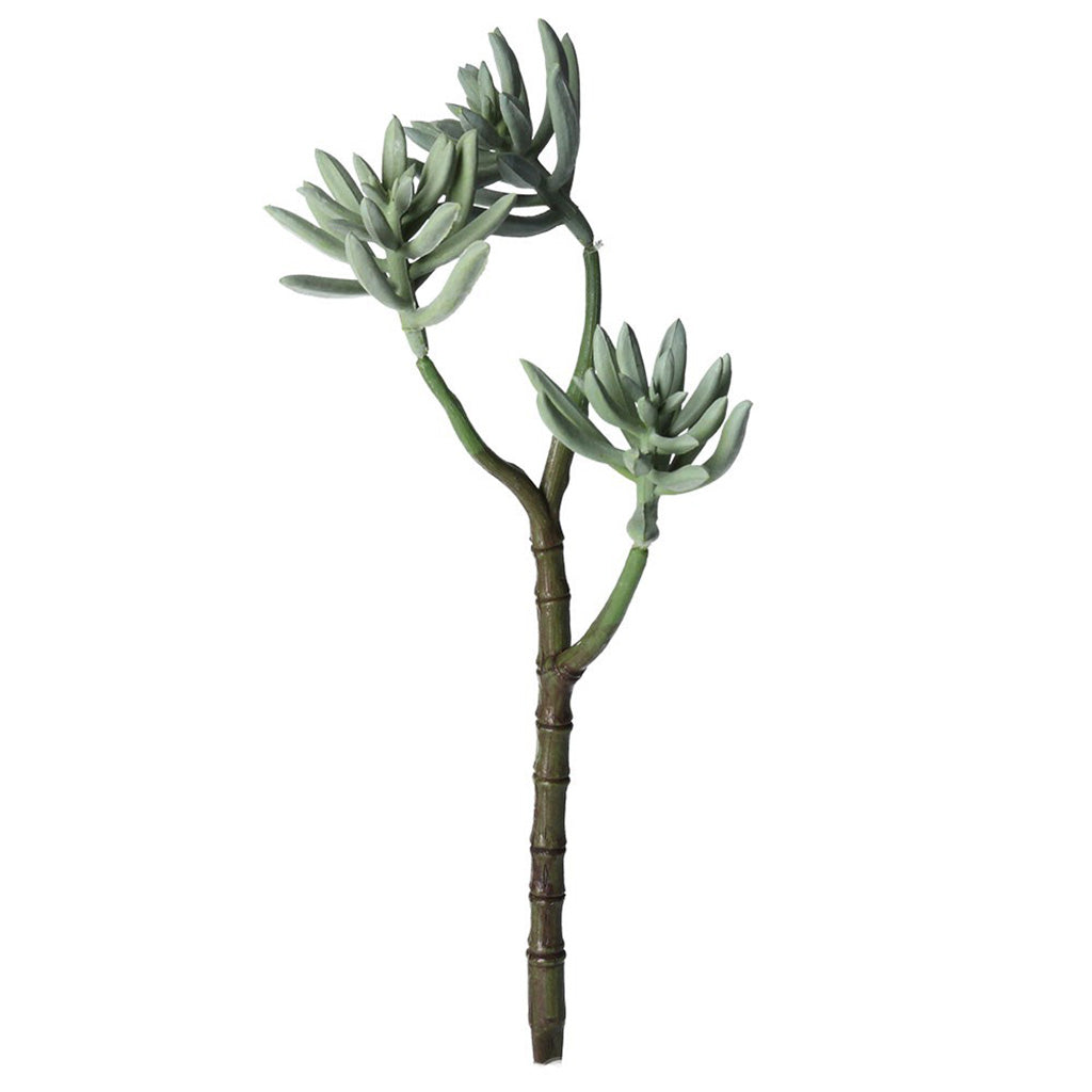Faux Aloe Plicatilis Succulent Pick