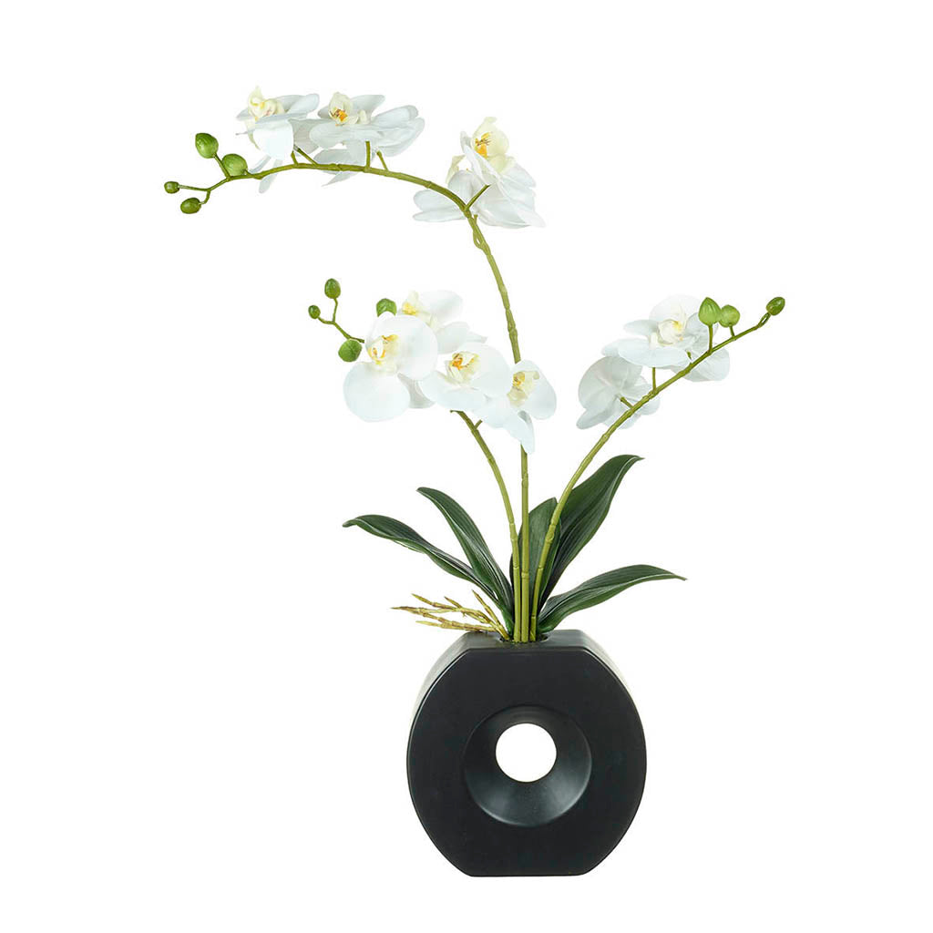 Orchid Black Hole Vase