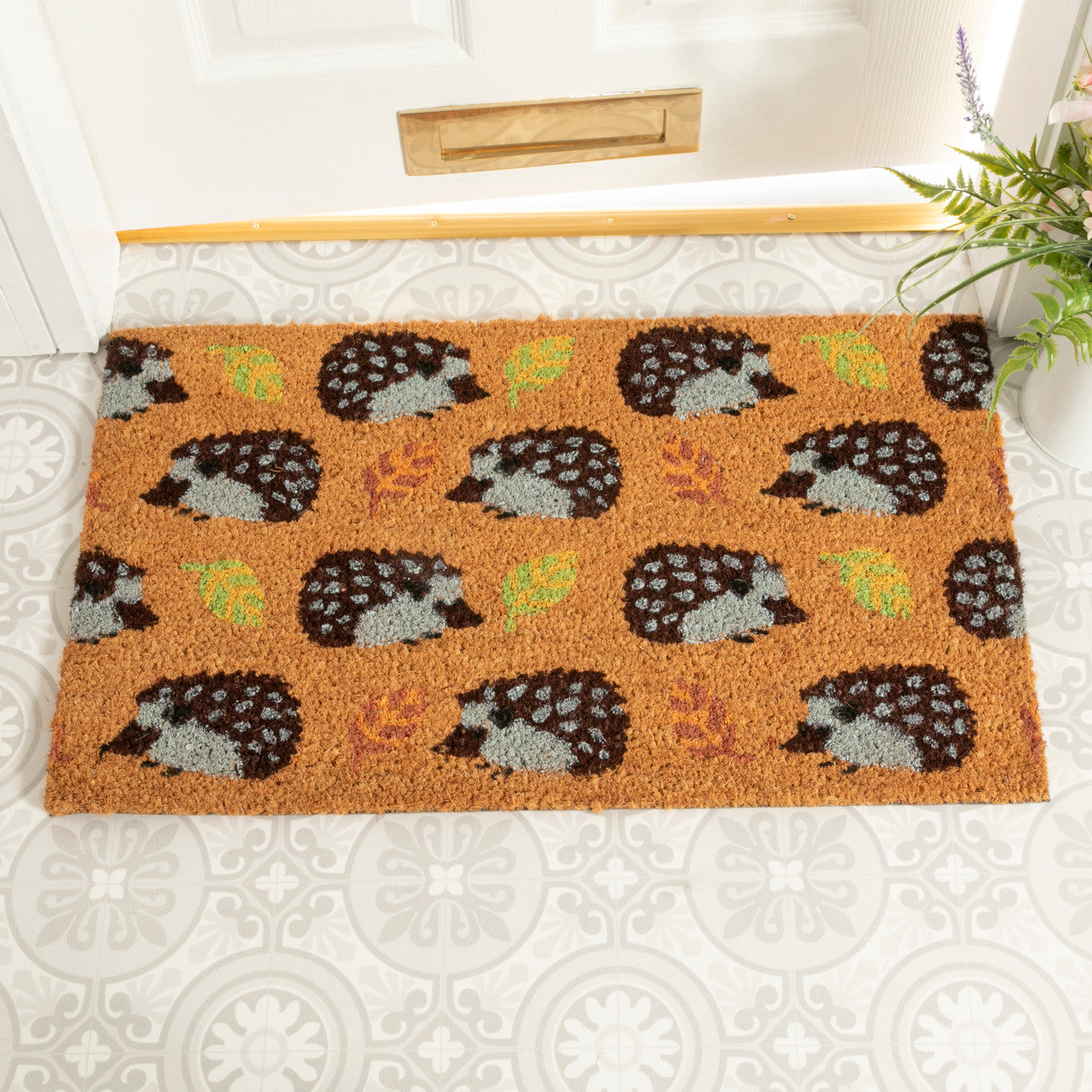Colourful Hedgehog Doormat