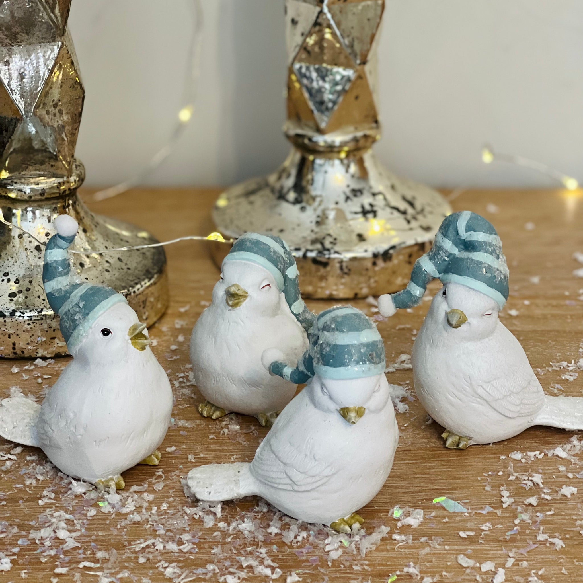 Winter Birds - Set of 4