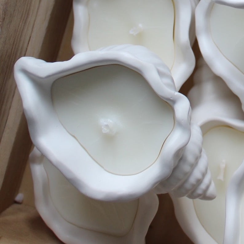 Handmade Soy Candle - Sarasota Shell