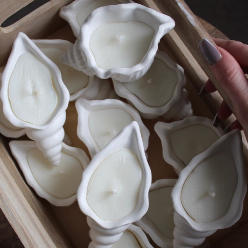Handmade Soy Candle - Sarasota Shell
