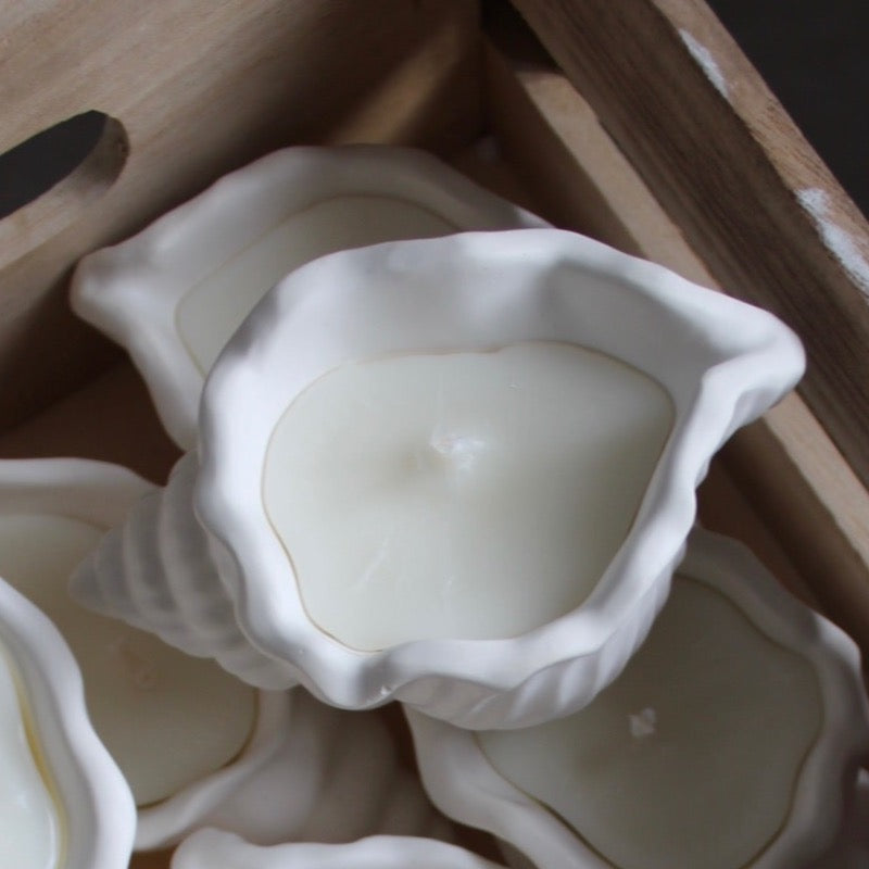 Handmade Soy Candle - Sarasota Shell
