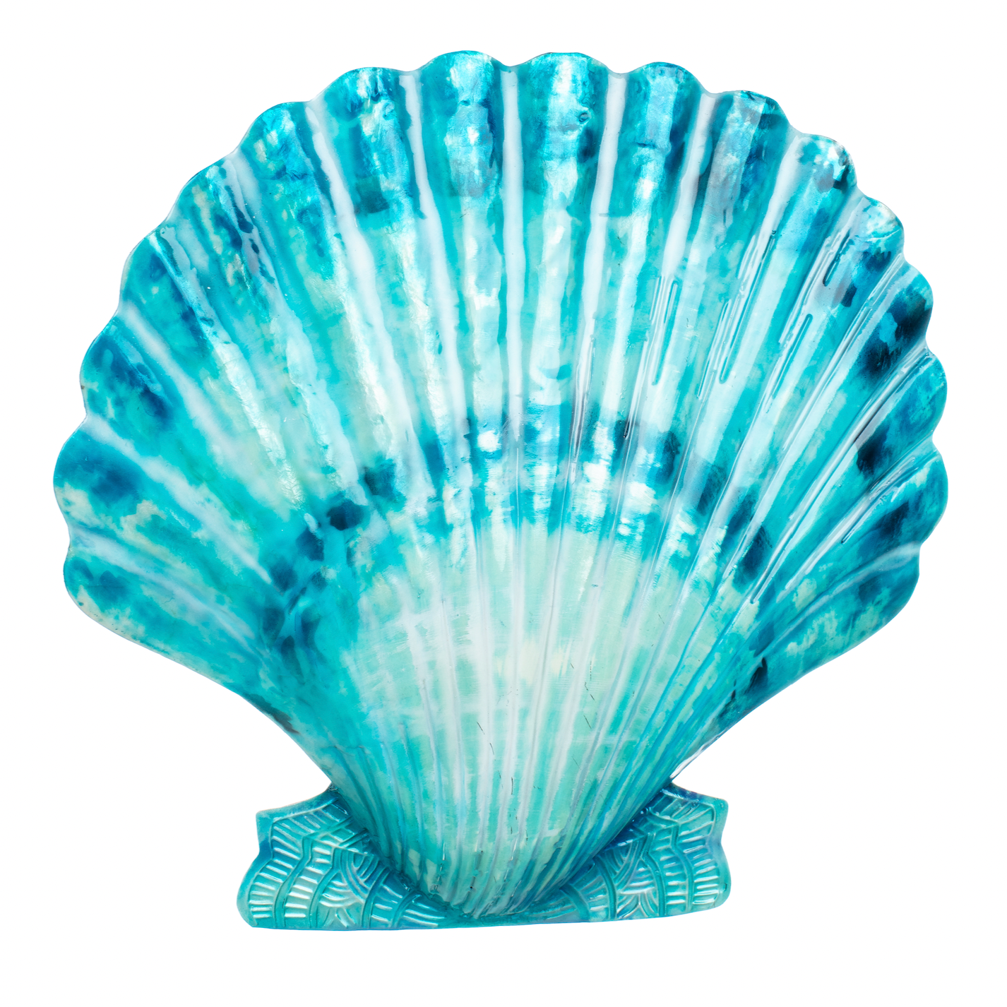 Shell Wall Art