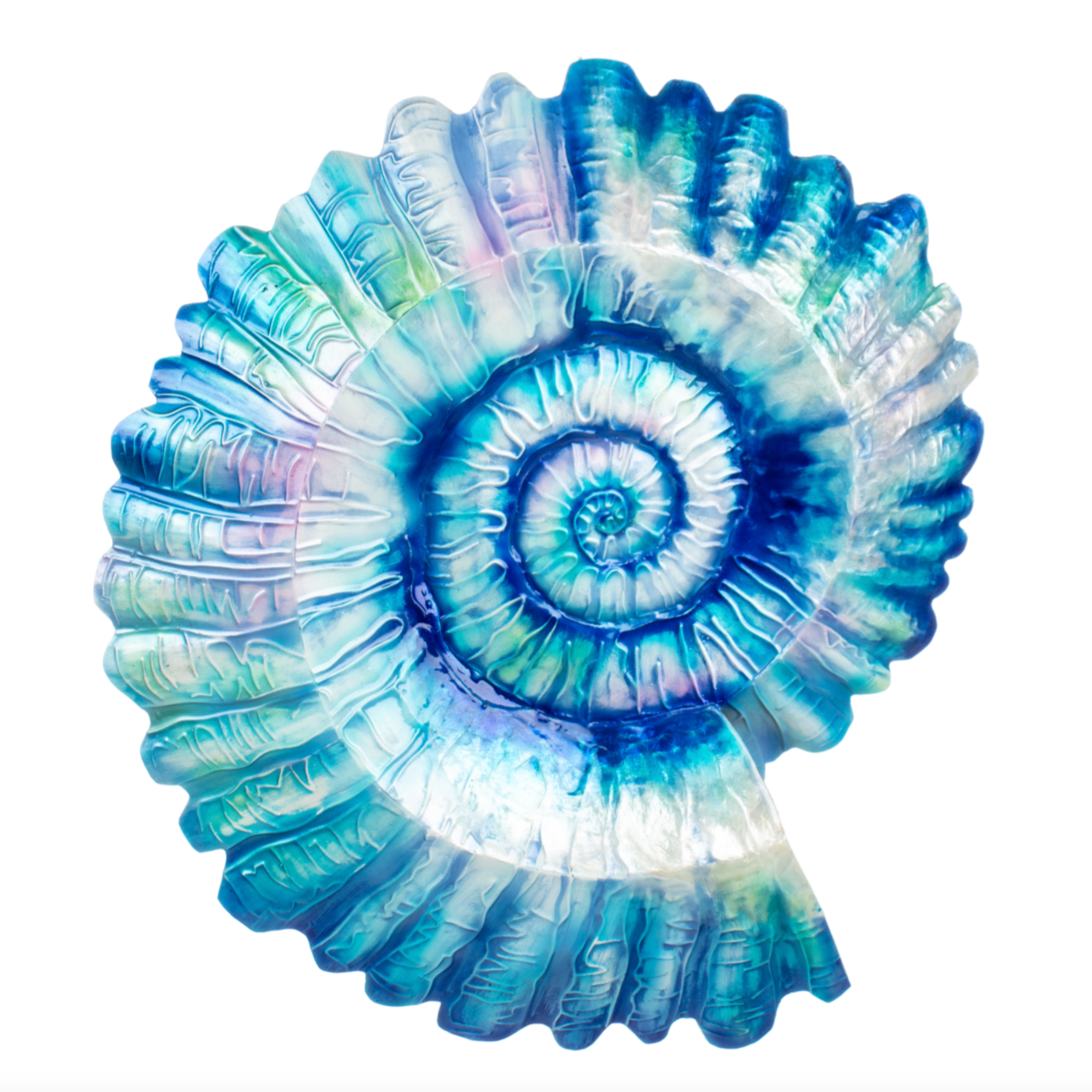 Ammonite Wall Art