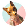 Translation missing: en.sections.featured_product.gallery_thumbnail_alt
