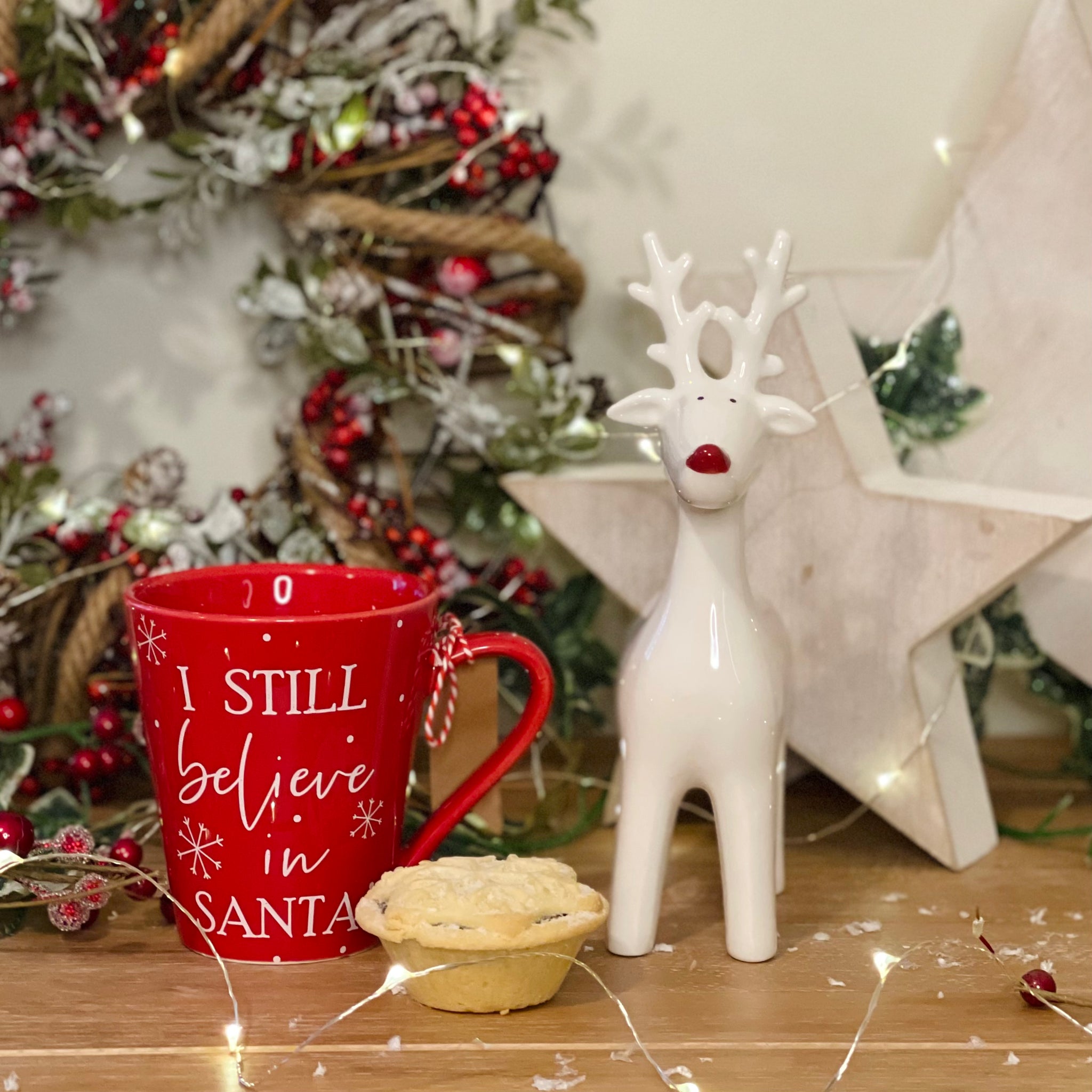 Red Nose Reindeer - Medium