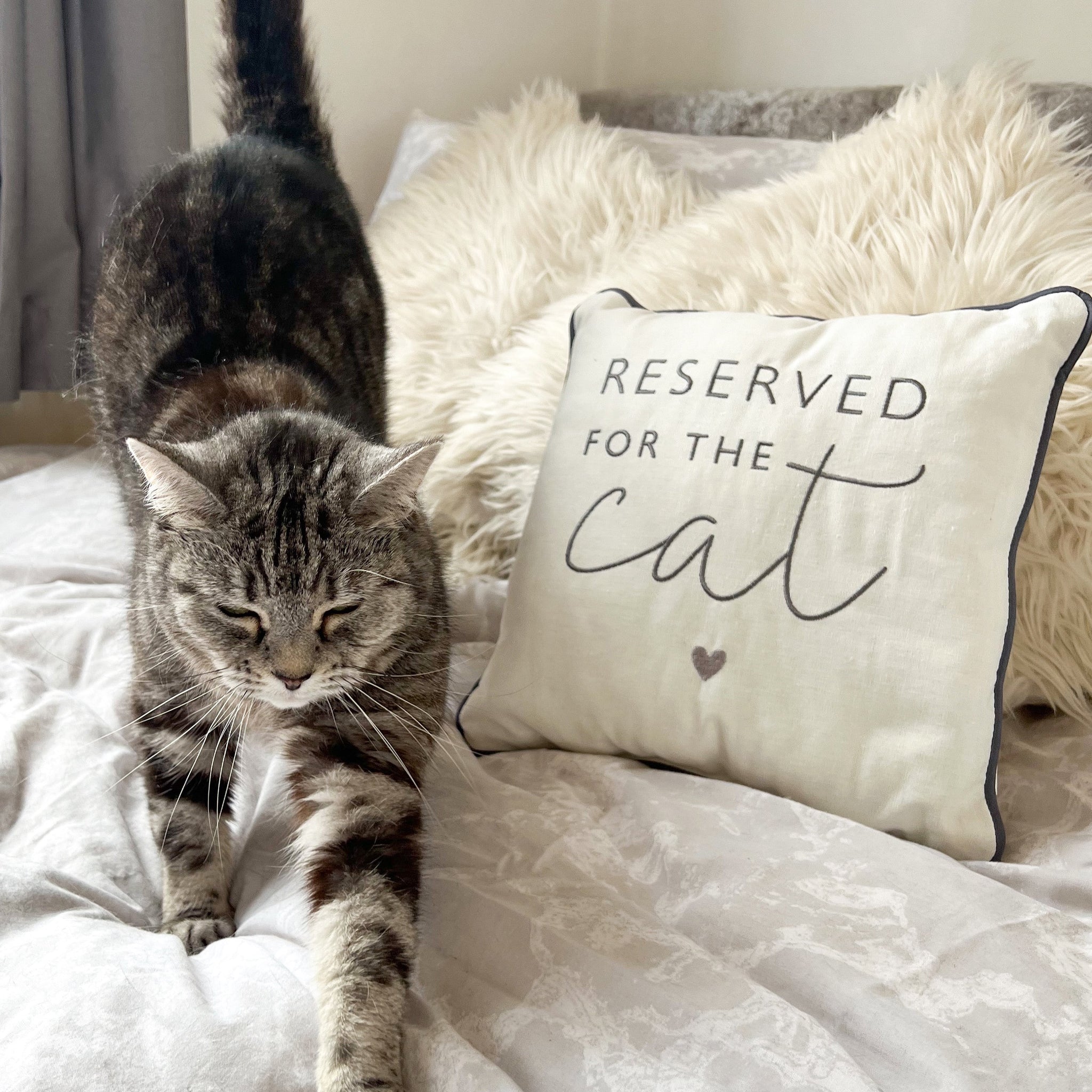 Mini Square Cushion - Reserved for the Cat