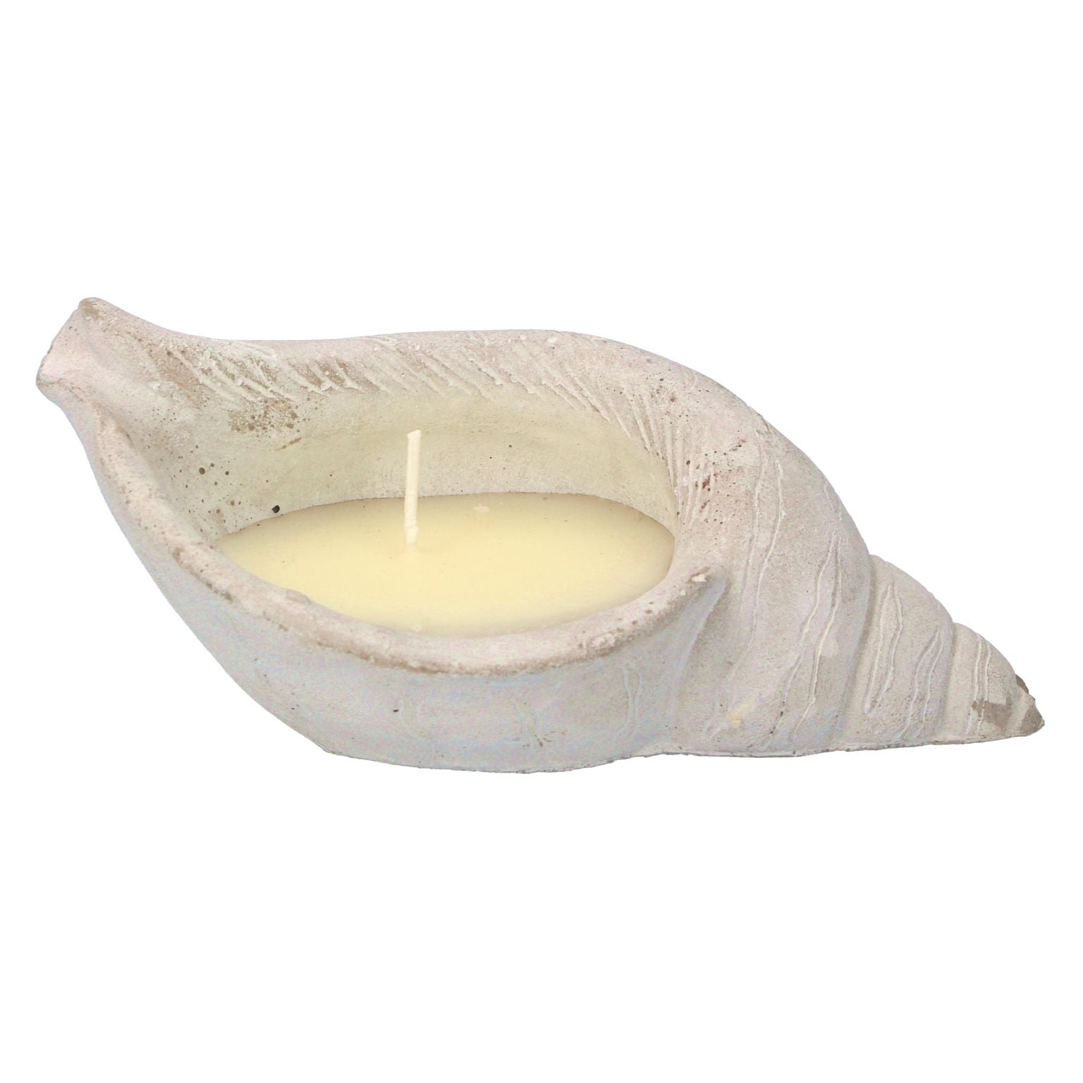 Citronella Candle - Shell